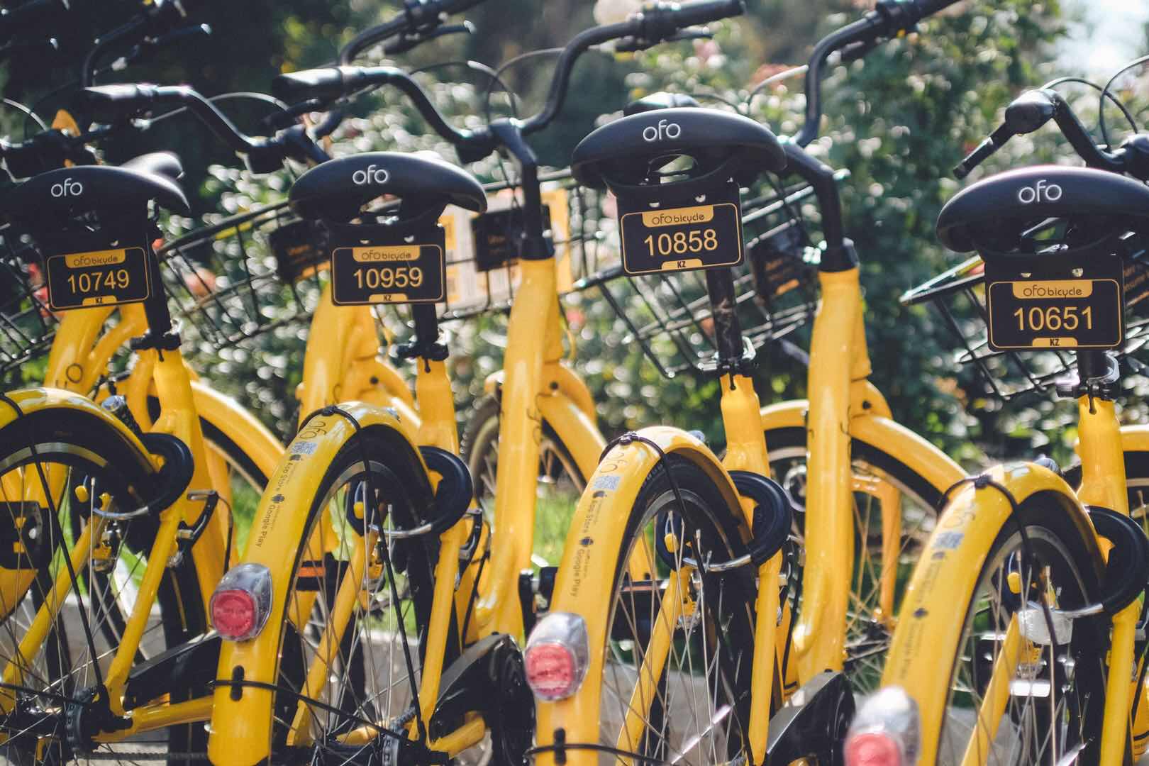 Ofo велошейрингі