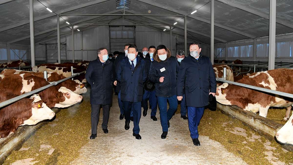 Асқар Мамин Солтүстік Қазақстан облысында