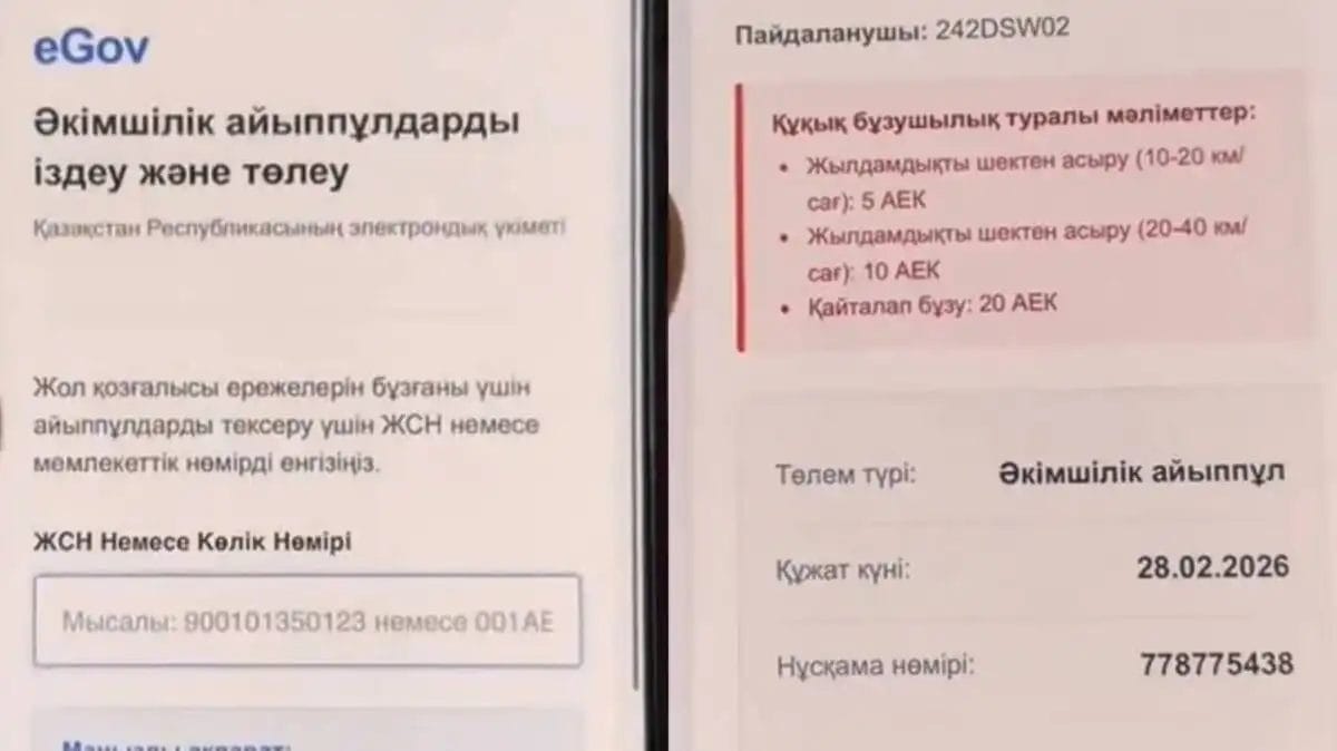 7efb82eddf3b7fe9b207aa8c1a125cc7 Жалған айыппұл: елде жаңа интернет-алаяқтар пайда болды